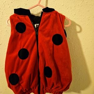 Toddler costume